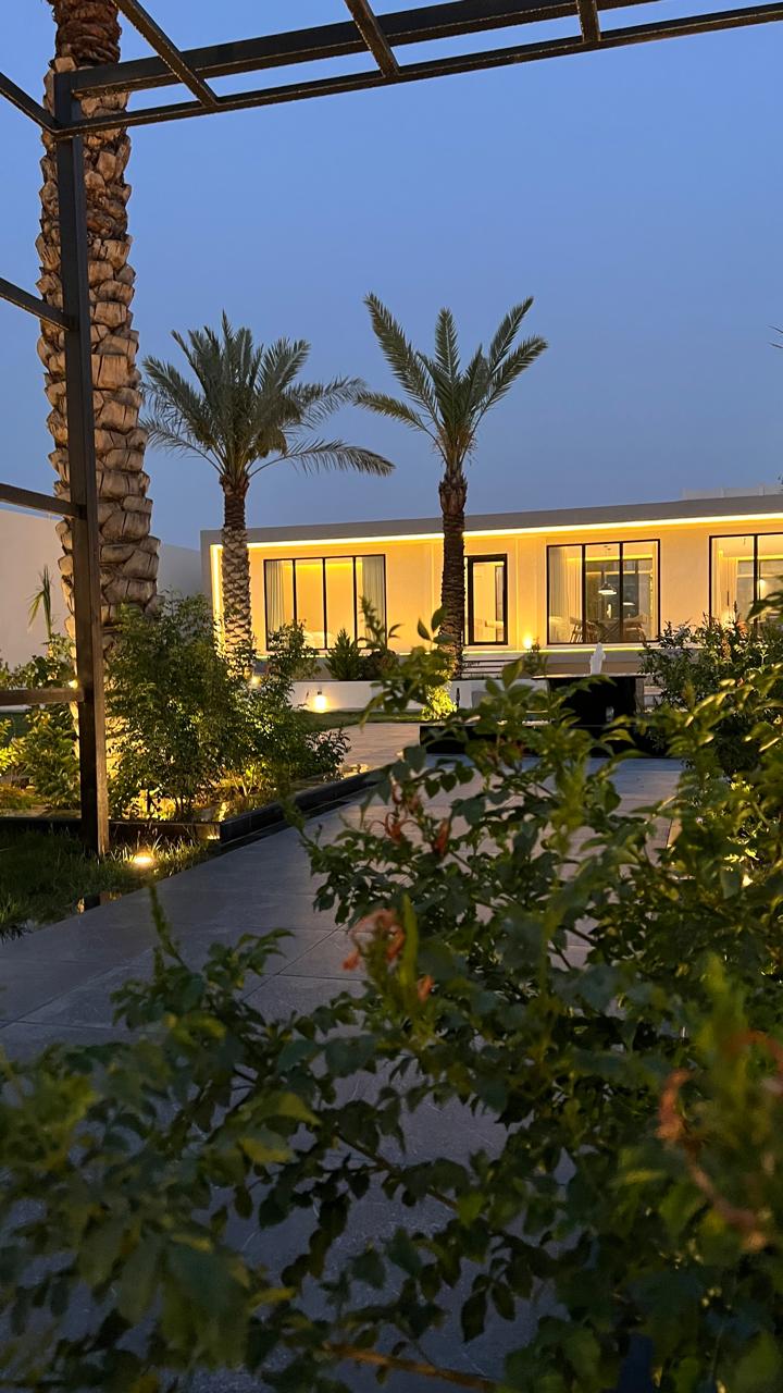 صورة 2