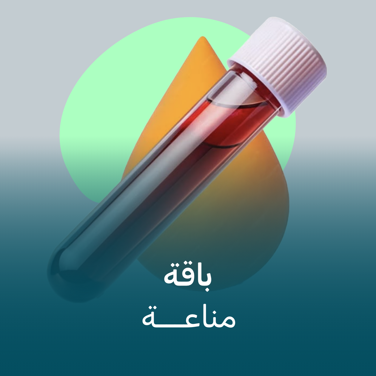 https://cdn.rekaz.io/tenants/3a17e236-0e43-d732-b06a-d5bca77630b2/3a19d77f-ce33-48cf-cef1-3ba4d7427edb.png