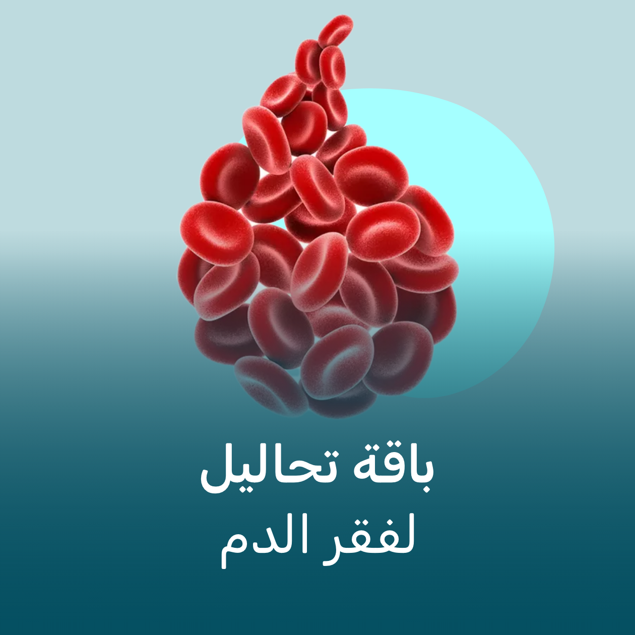 https://cdn.rekaz.io/tenants/3a17e236-0e43-d732-b06a-d5bca77630b2/3a19d788-0301-b986-4880-673206c1ae17.png