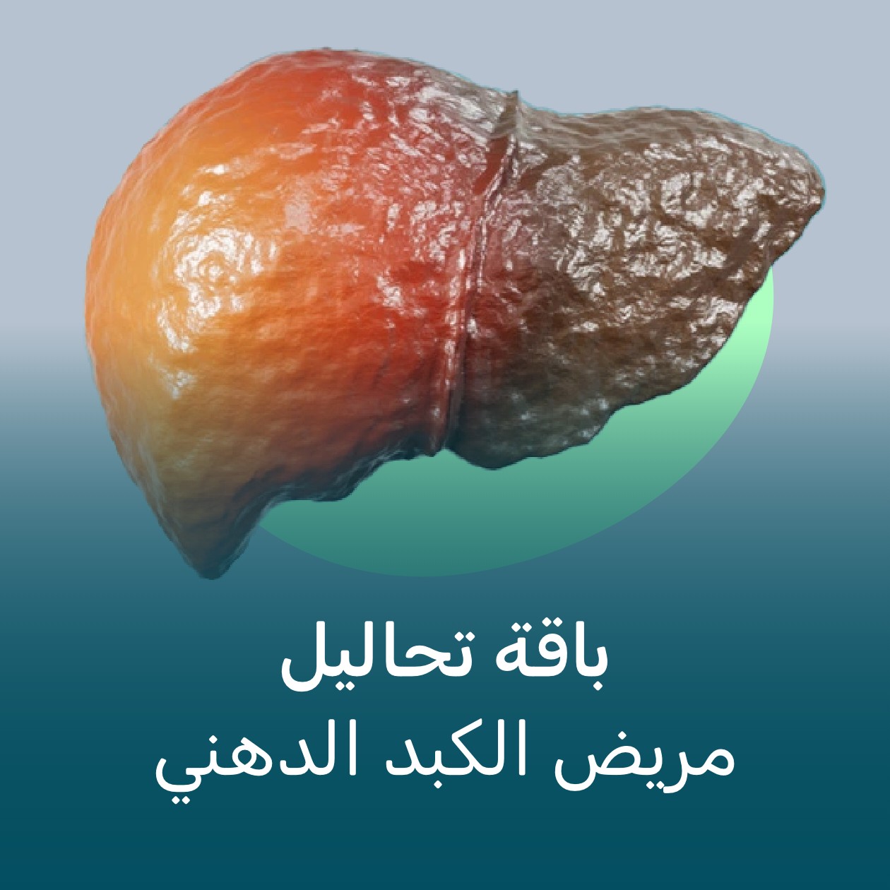 https://cdn.rekaz.io/tenants/3a17e236-0e43-d732-b06a-d5bca77630b2/3a19e1e0-2554-ecca-db6e-b88a32e51396.png