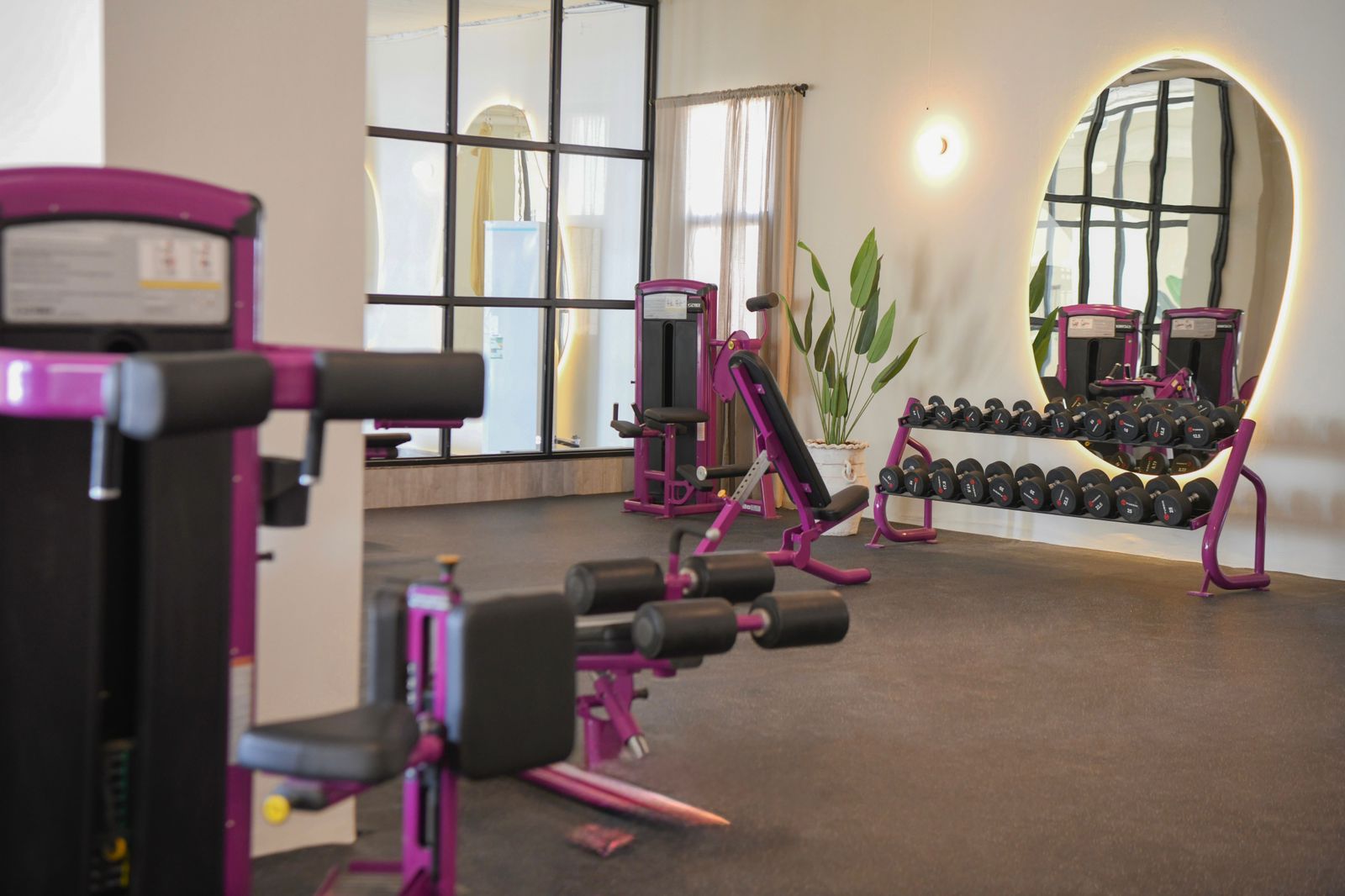 اشتراك 12 شهر