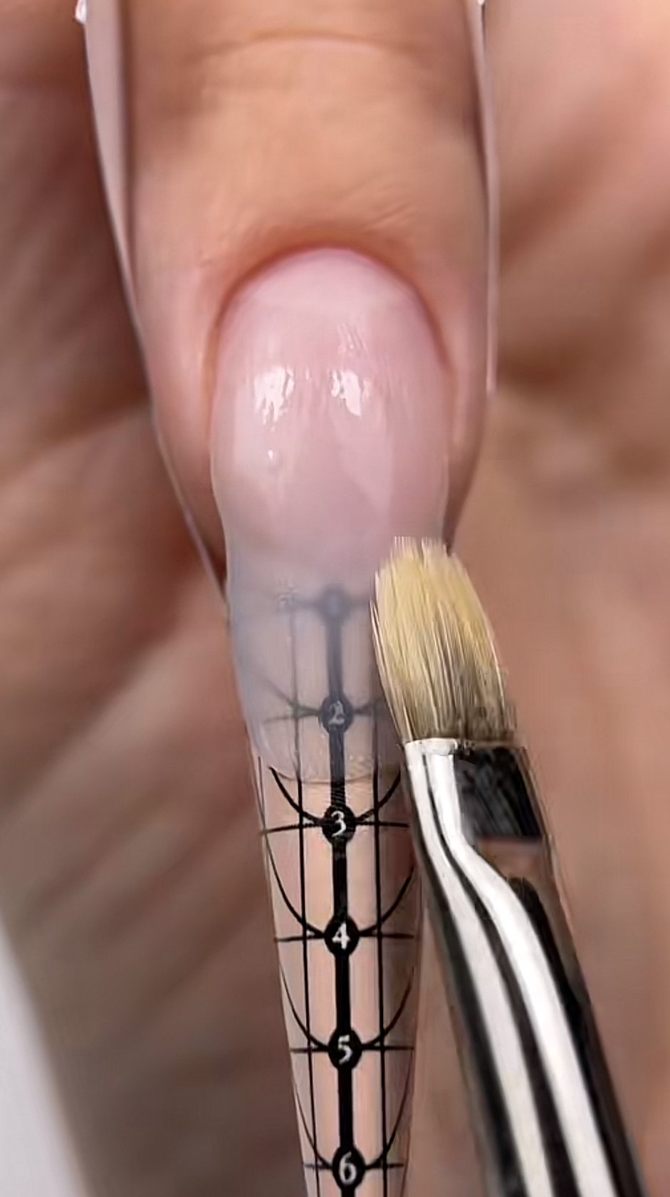 الهارد جل (Hard Gel)