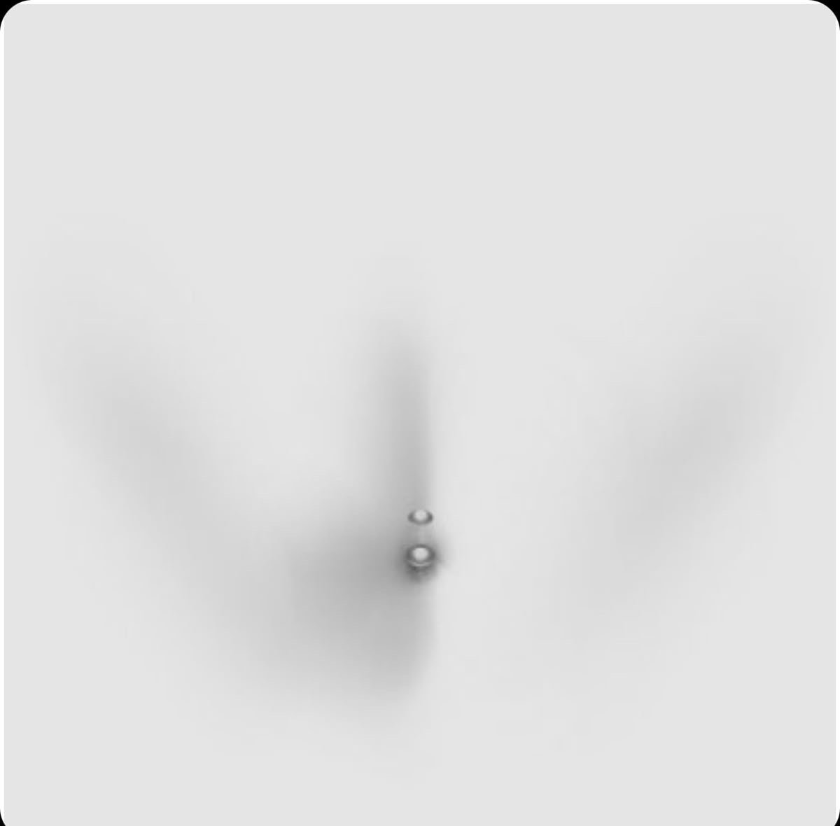 https://cdn.rekaz.io/tenants/3a1a4b79-e474-ef42-5161-75772224f969/3a1a51b3-9034-4c33-f3a8-1f0d1eff26cb.jpg