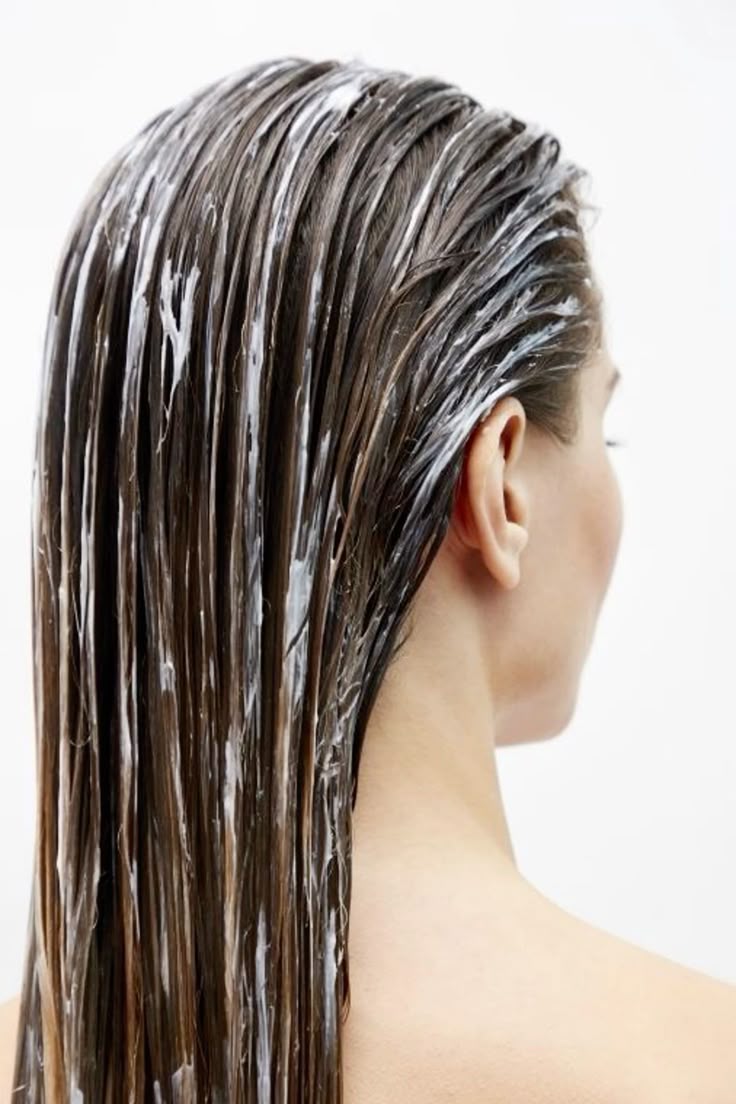 تغذيه سريعه