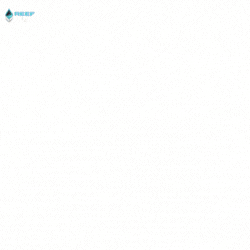 الريف الكلاسيكي