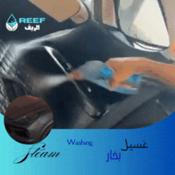 الريف بخار - غسيل داخلي وخارجي