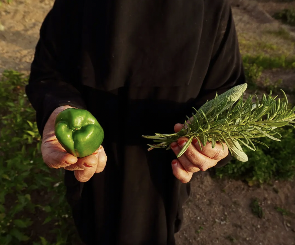 تجربة الزراعة أو الحصاد المحلي
