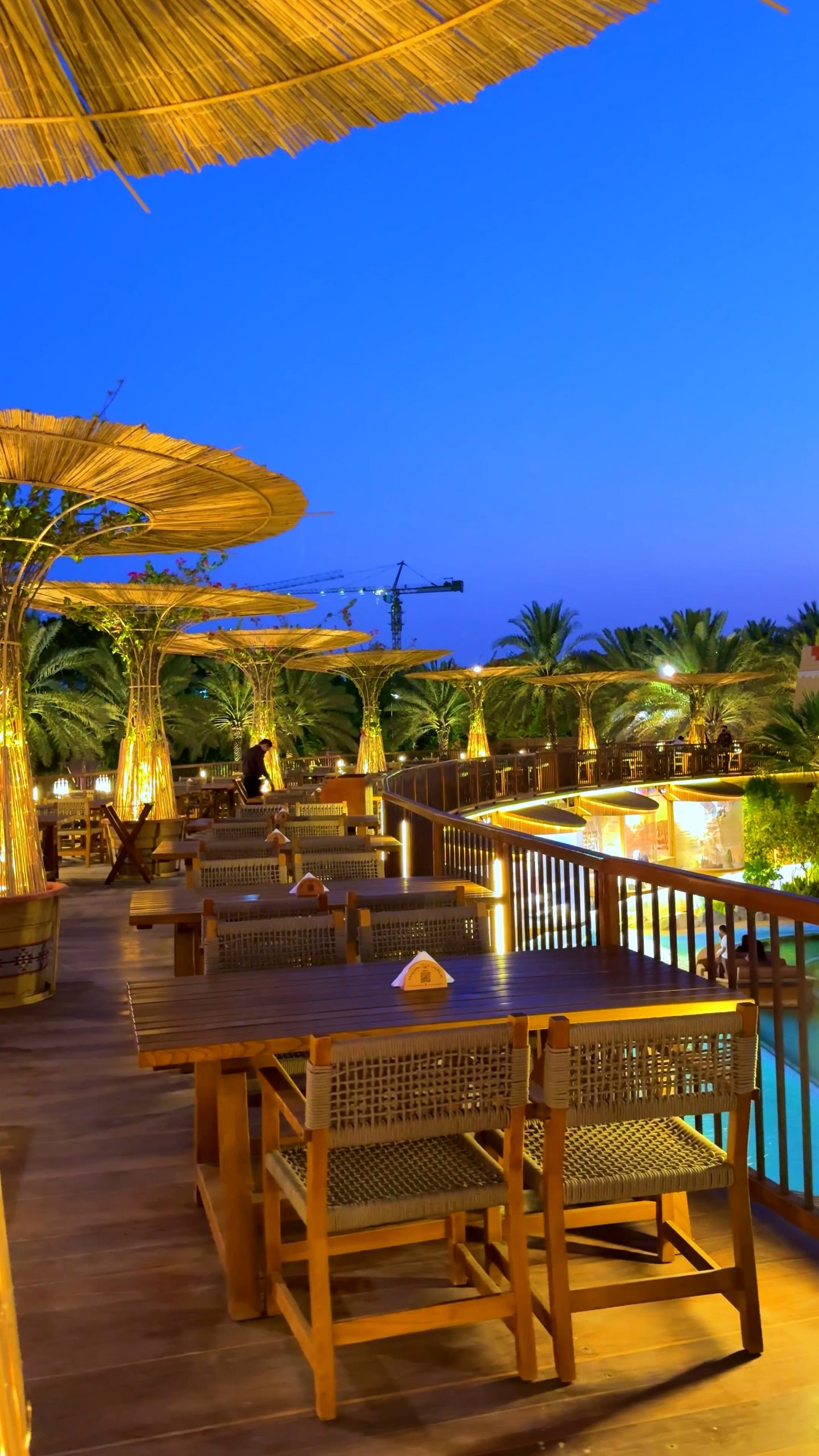 صورة 3