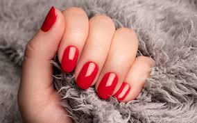 صورة 3