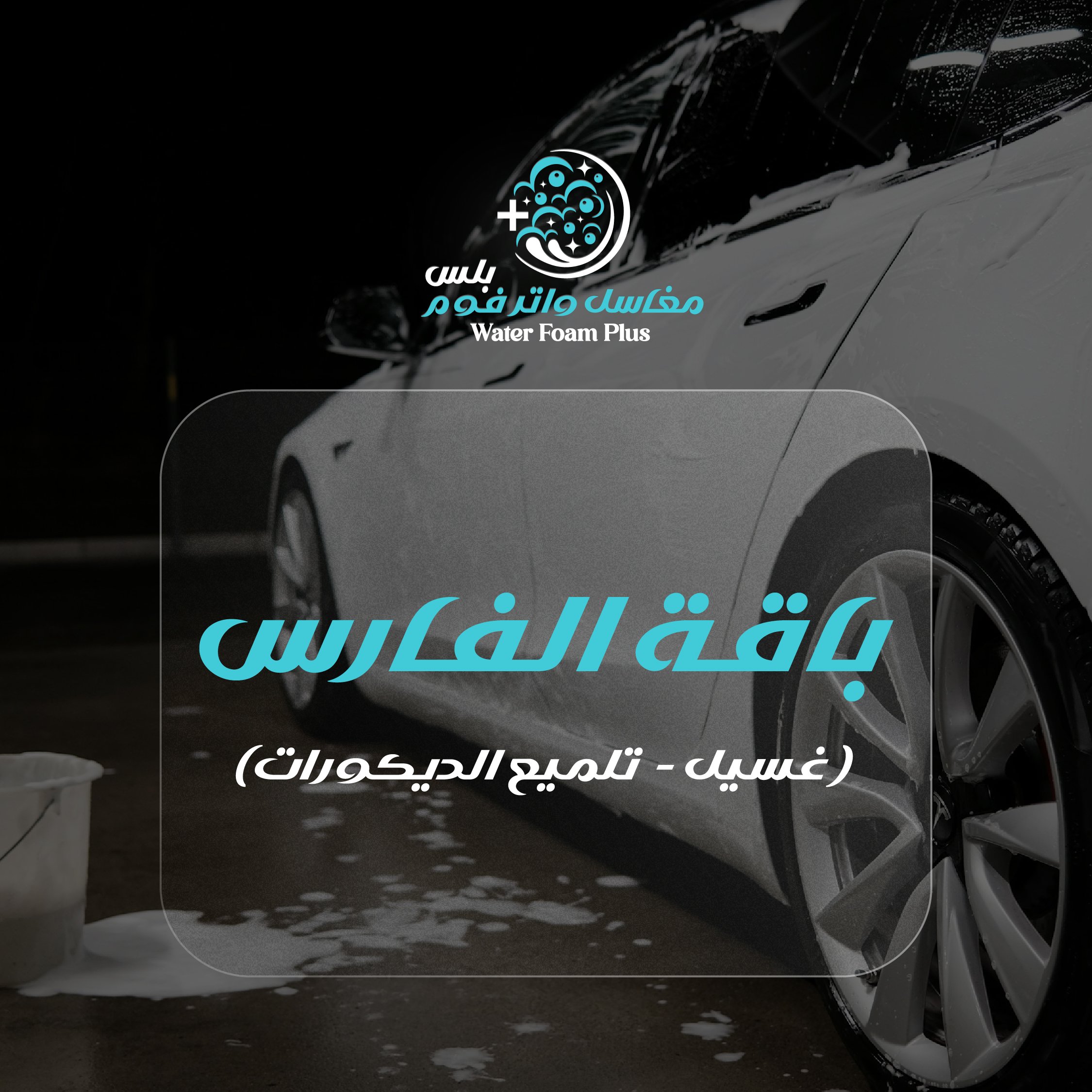 باقة الفارس ( غسيل + تلميع الديكورات )