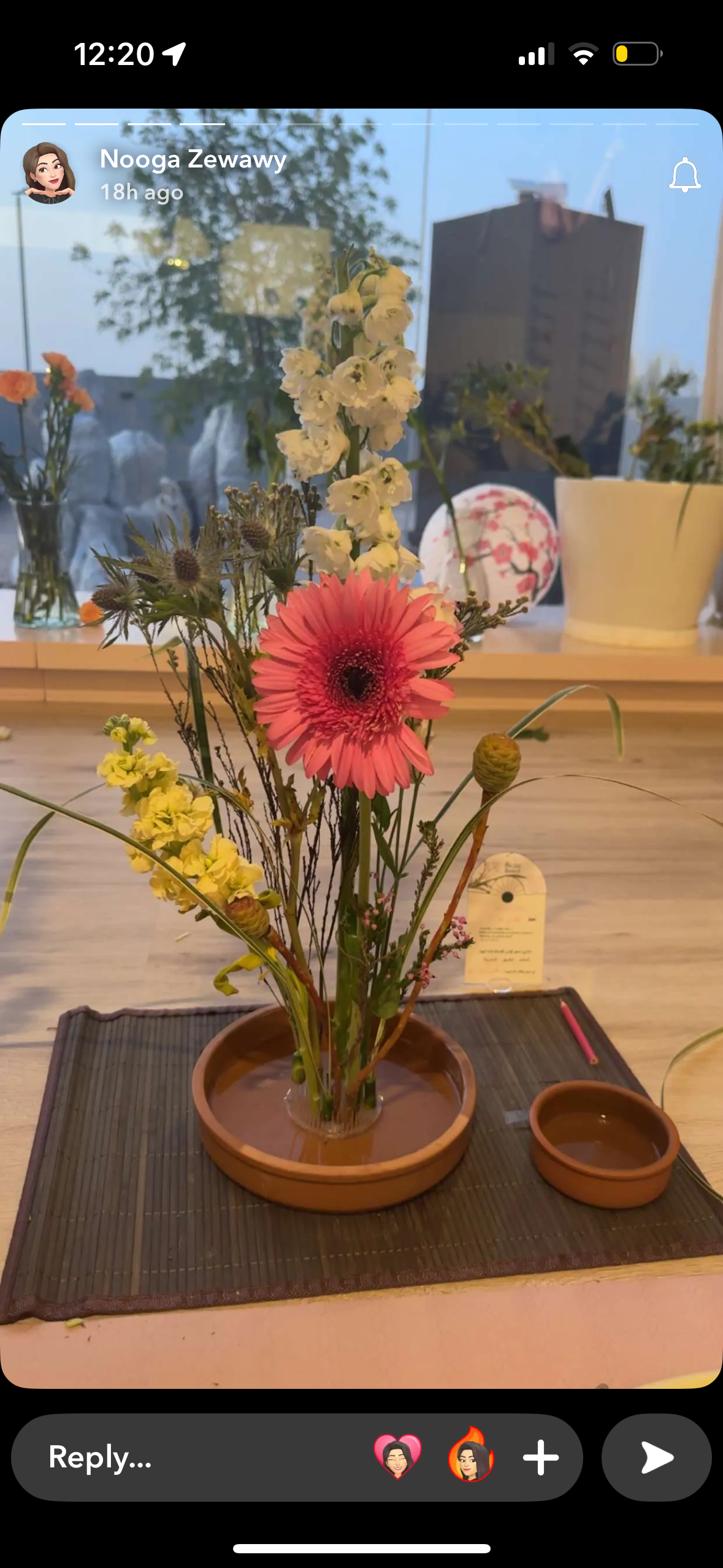 ورشة تنسيق الزهور + كلاس يوغا